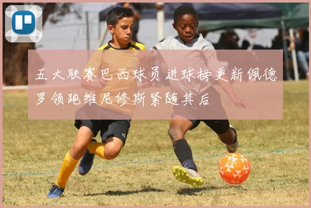 五大联赛巴西球员进球榜更新佩德罗领跑维尼修斯紧随其后